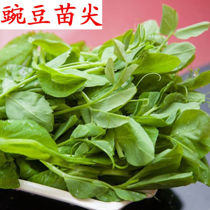 以琛豌豆苗种子【豌豆尖】肥仔无须碗豆尖种子龙须菜种子蔬菜种子