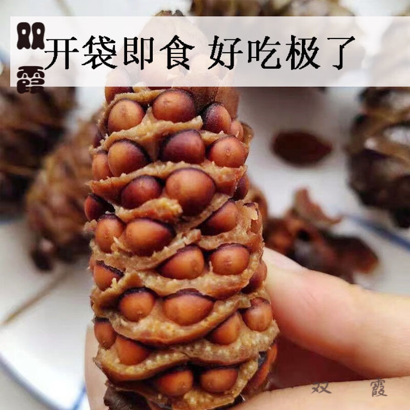 滋滋铺子松树塔盐水煮松塔松子大兴安岭特色美食小朋友爱w 250g