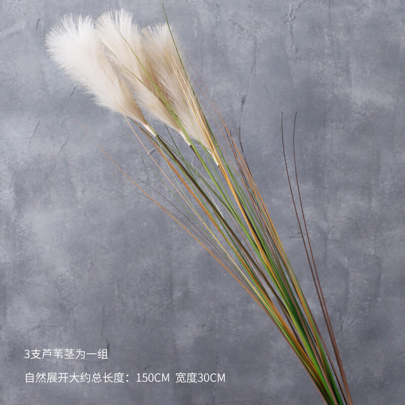 灰色花 大芦苇 高度150cm(一束包含三朵花枝)