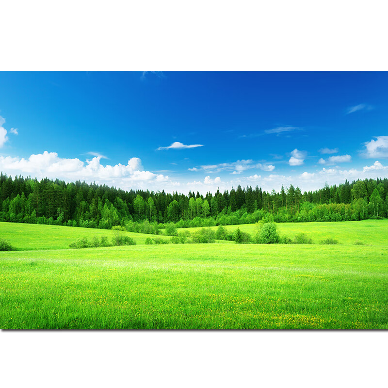 风景画家居绿色草坪草地树林树木蓝天白云自然风光简约装饰墙贴画 f1