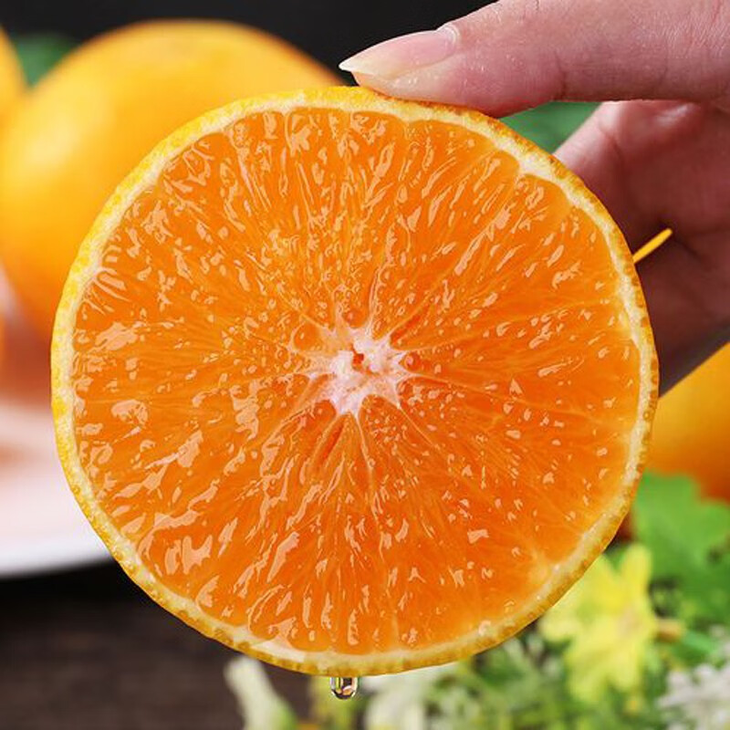 秭橙贡【京东快递】现摘现发正宗秭归九月红果冻橙子新鲜手剥当季水果 大果(70mm以上) 净重5斤|京东快递