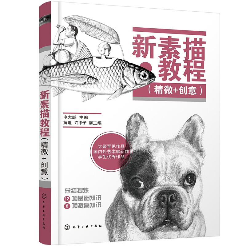 新素描教程(精微 创意)精微素描侧重技术与深度,创意素描侧重思维与