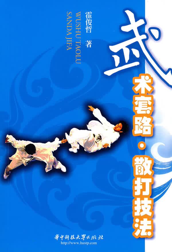 武术套路 散打技法【正版图书】
