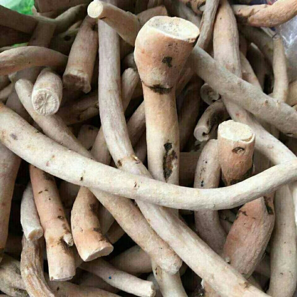 一见起云南苗药野生中材泡酒料硬得久精选一见起 一见起 250克