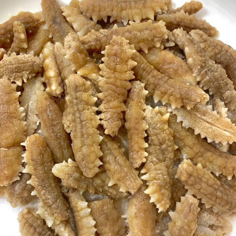 tlxt黄玉参 黄玉参淡干刺参海参干货海参海参淡干海参 30g试吃装