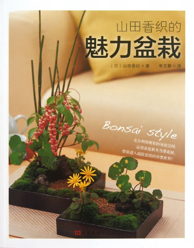 山田香织的魅力盆栽