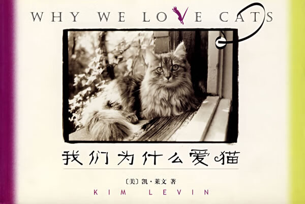 我们为什么爱猫【正版图书】