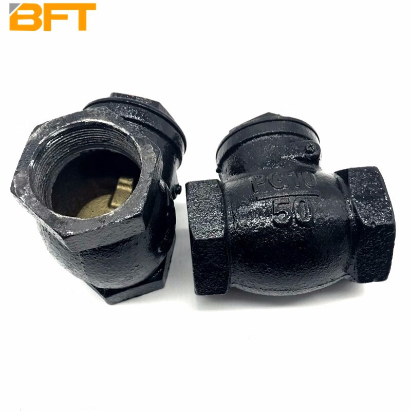 贝傅特 h14t丝扣卧式止回阀水管道单向阀铸铁内螺纹止回阀 dn100