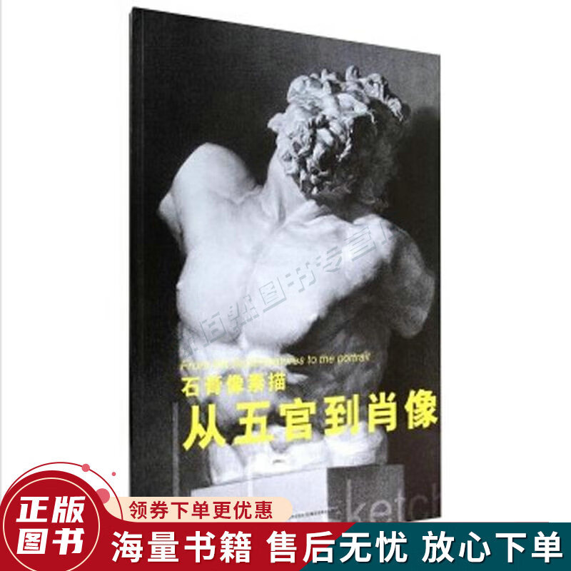 石膏像素描从五官到肖像