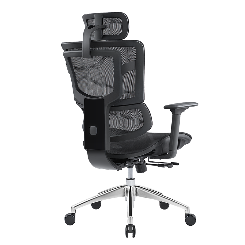 SITZONE DS-362A2 人体工学电脑椅 黑色 高配版