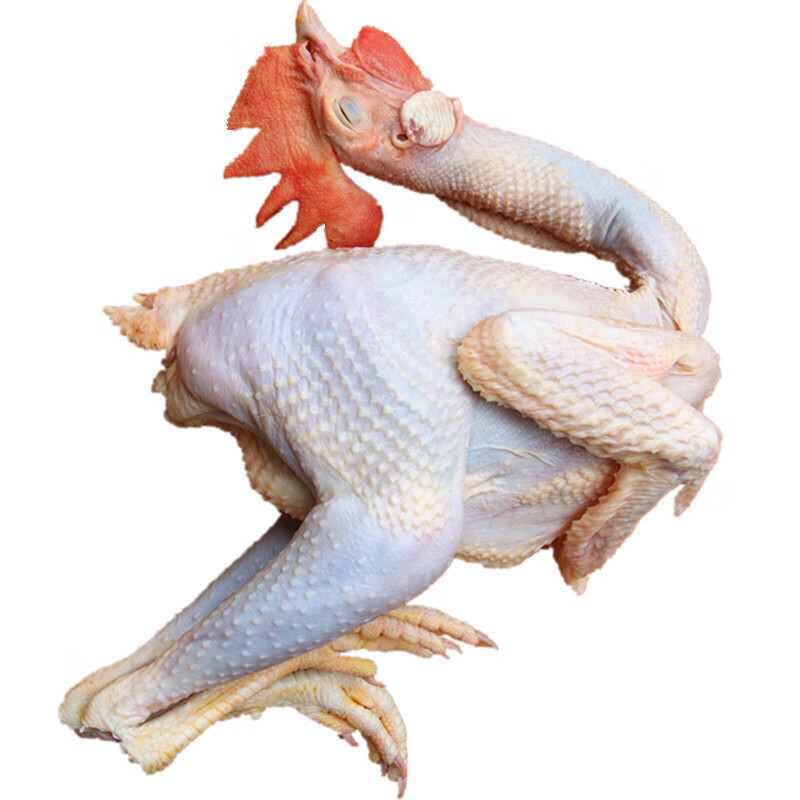 【散养两年老公鸡】农村老公鸡现杀新鲜鸡肉土鸡 杀后净重-7斤【