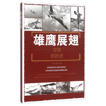 雄鹰展翅:空军的历史【正版书籍】