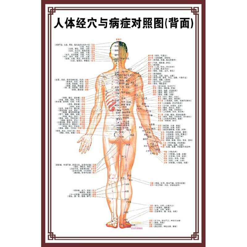 【新品】中医养生人体经络穴位图大挂图全身高清推拿按摩针灸海报 006