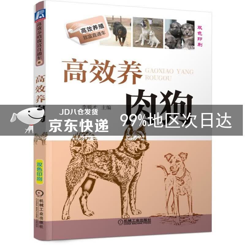 高效养肉狗