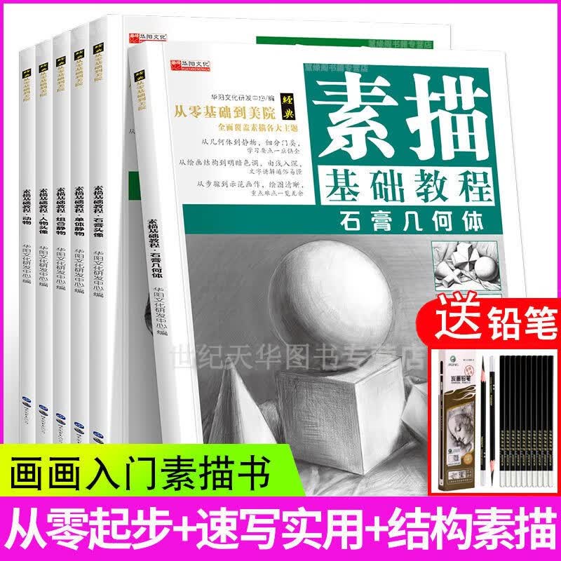 零基础素描实用教程书籍学素描入门几何体静物石膏头像人物动物风景入门自学教程教材 素描6册