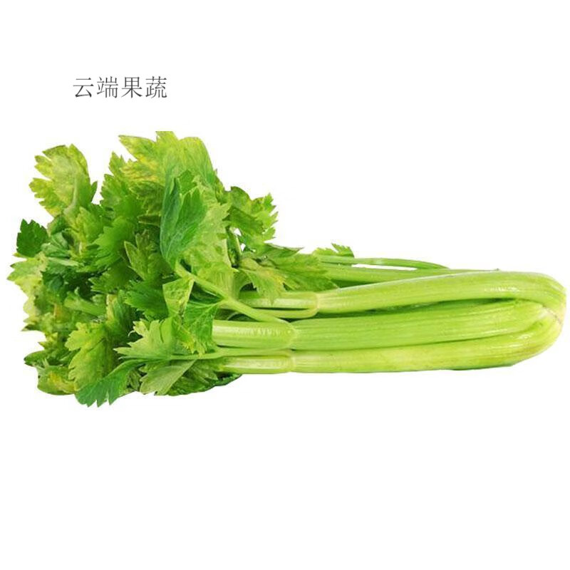 【超低价】新鲜芹菜蔬菜农家西芹菜嫩空芯青菜香芹当季蔬菜批发 3斤