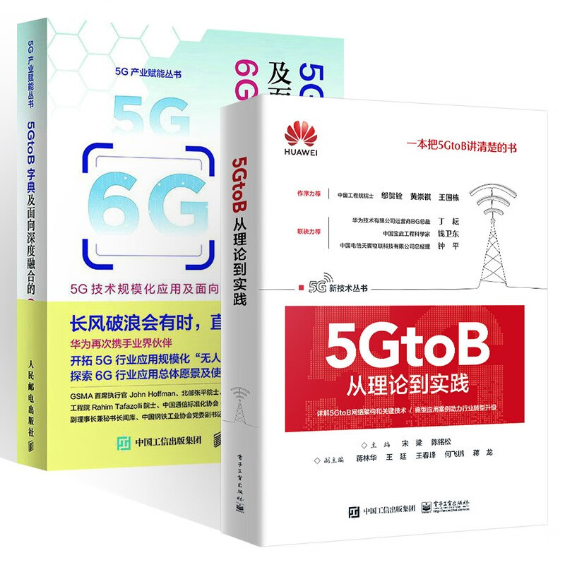 5GtoB从理论到实践+5GtoB字典 两册