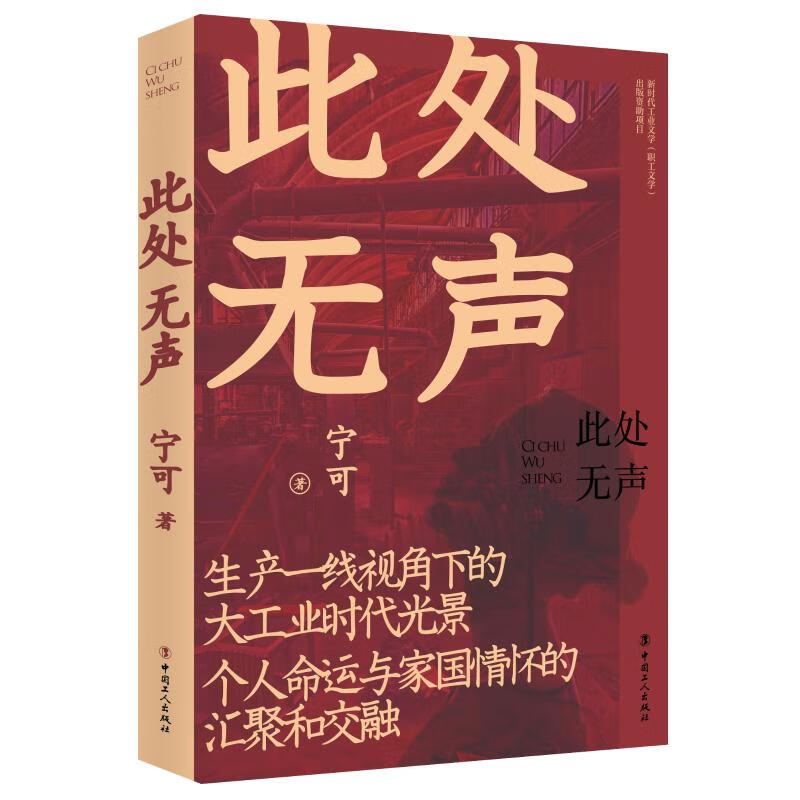 此处无声 图书