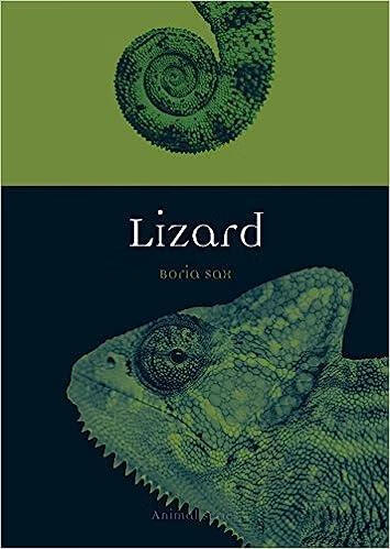 预订 lizard