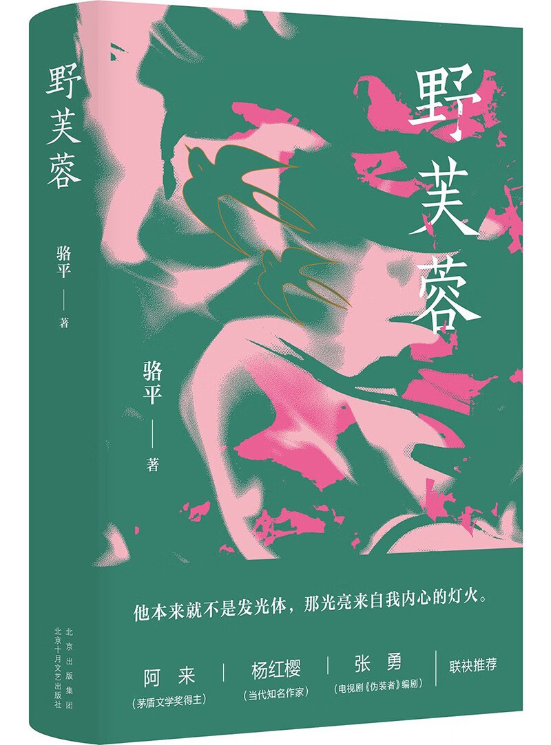 野芙蓉（雷佳音、阿来、杨红樱、张勇诚挚推荐，捕捉当代女性的情感困境）