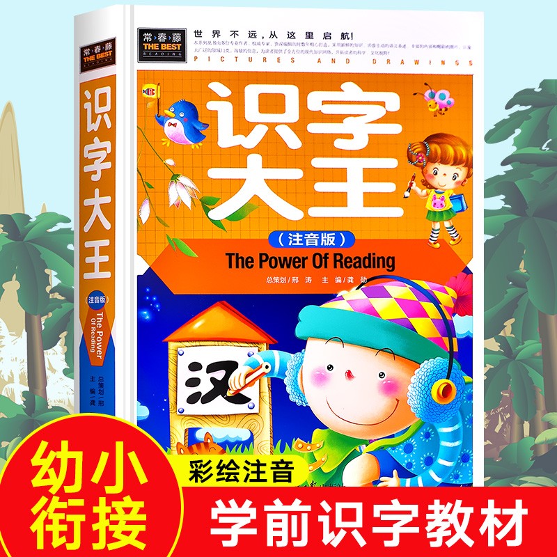 识字大王 幼儿识字书学前启蒙图书幼儿园大班学前班幼小衔接教育早教书书籍卡片2-3-4-5-6摩比爱识字卡