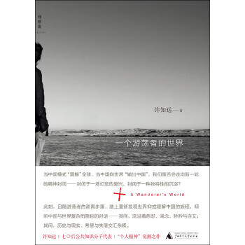 一个游荡者的世界【正版图书】