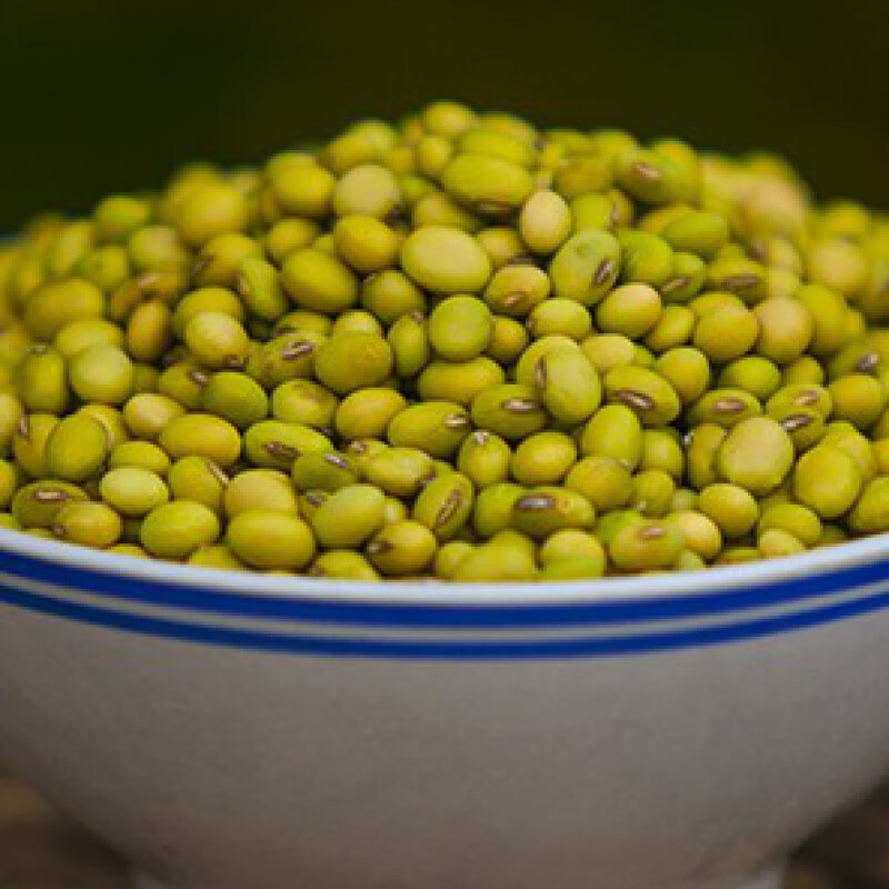 虎钢馋贵州2021新黄豆土黄豆500g黄豆打豆浆大豆农家自种黄豆绿