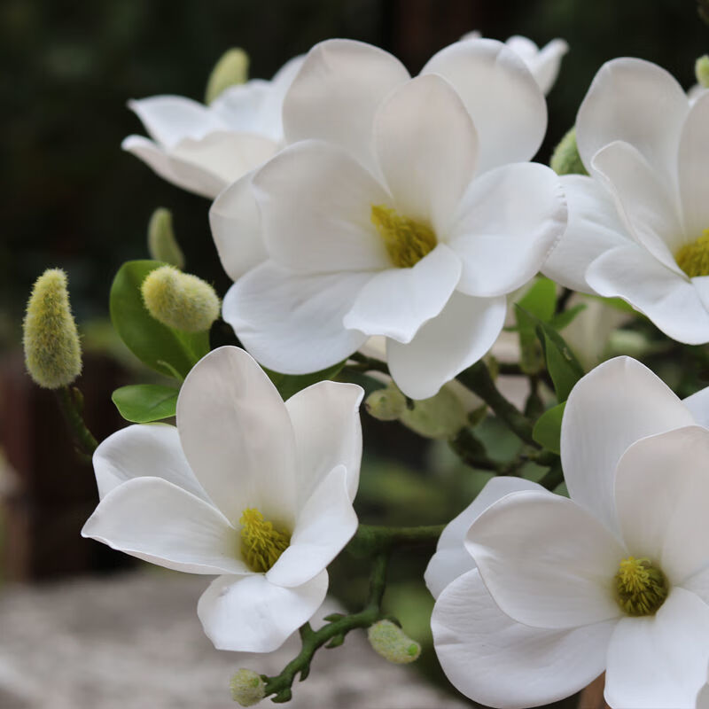 新3d手感玉兰花仿真花假花客厅玄关餐桌摆件塑料装饰花卉拍照道具 6支