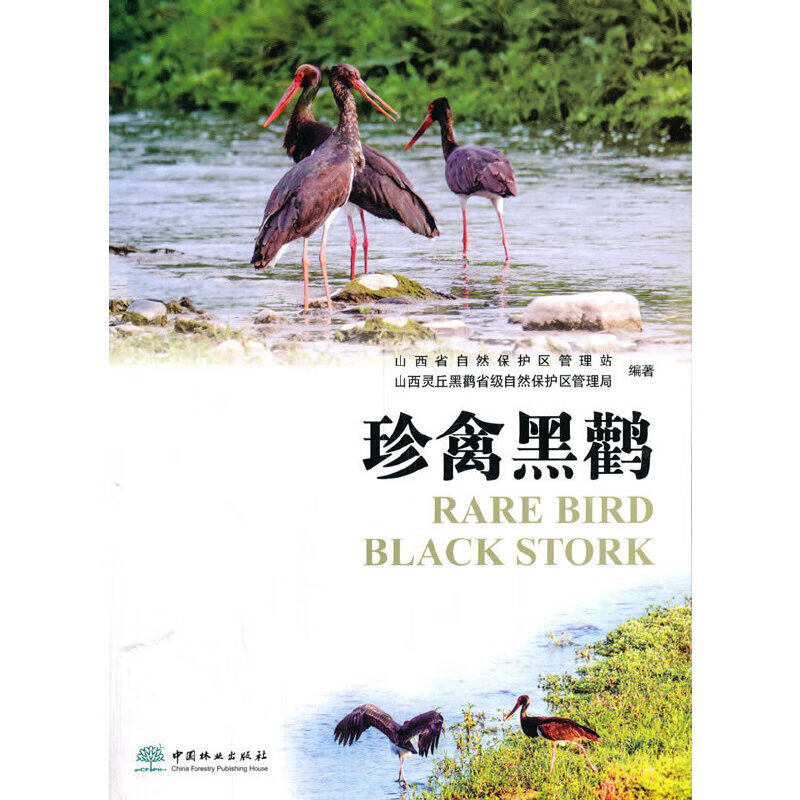 珍禽黑鹳【特惠】