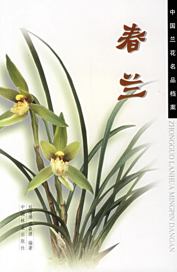 中国兰花名品档案 春兰【正版速发】