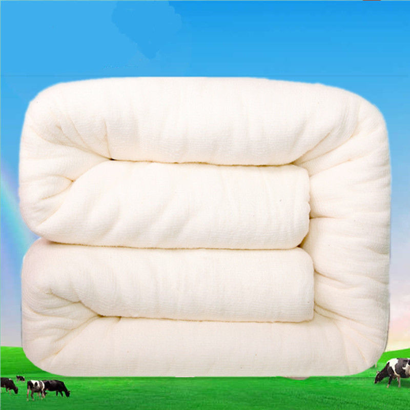 棉被手工棉被子棉被芯棉絮床垫被褥子宿舍铺盖加厚保暖冬被褥棉胎 4斤 200x230cm