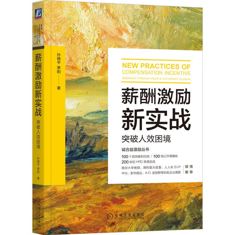 薪酬激励新实战：突破人效困境