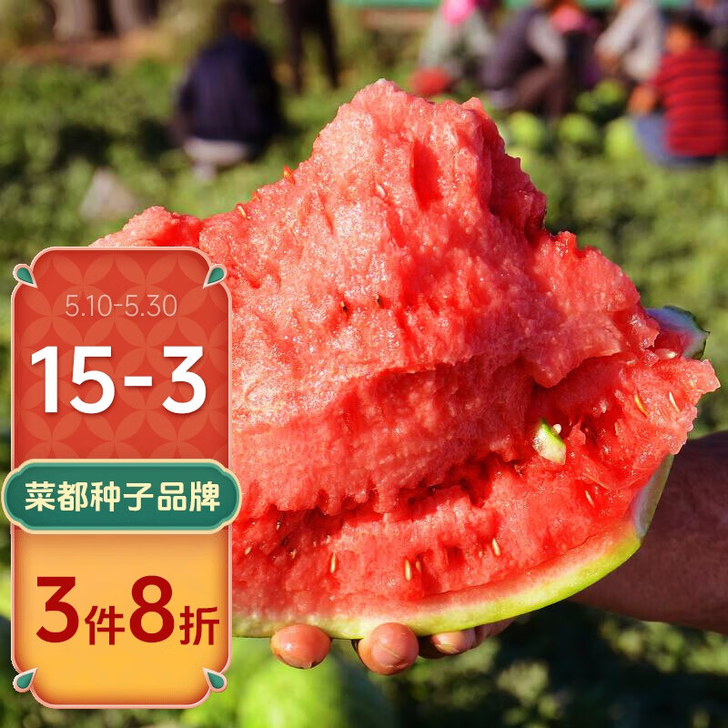 寿禾 懒汉西瓜籽种子南方特甜瓜果早熟 早佳8424西瓜种子 30粒丨早熟