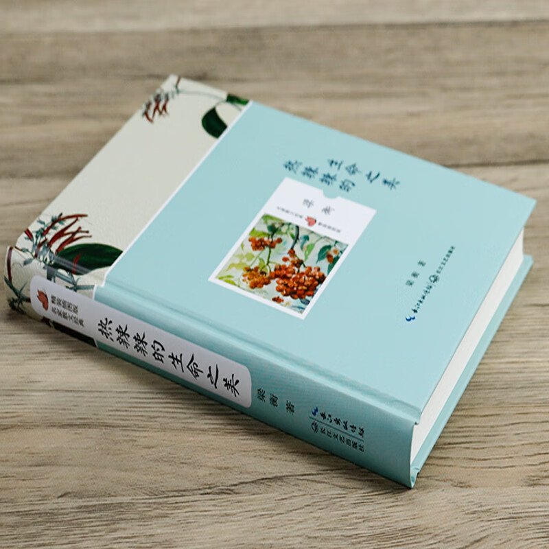 梁衡散文经典名篇精选集 精装插图收录把栏杆拍遍心中的桃花源跨越的