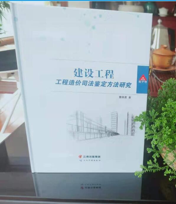 正版 建设工程 工程造价司法鉴定方法研究 董雄勇 云南出版集团 2020年7月出版1h12k