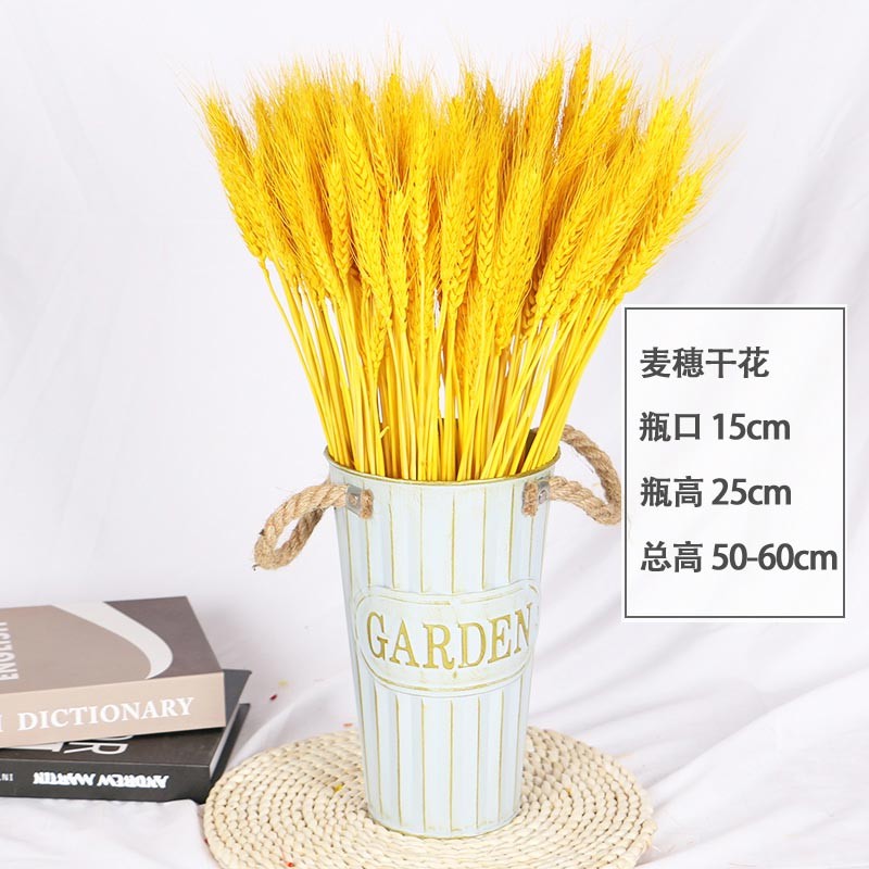 网购干花历史价格走势|干花价格比较