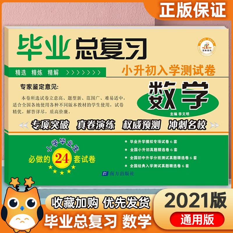 2021版小升初必刷题真题模拟试卷六年级下册数学专项训练毕业总复习试卷