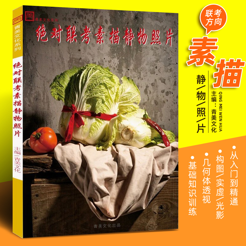 2021青美文化 水果蔬菜杂物器皿陶罐素描静物照片素材写生临摹范本