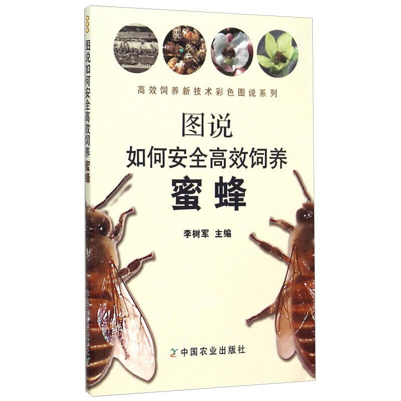 图图说如何安全高效饲养蜜蜂