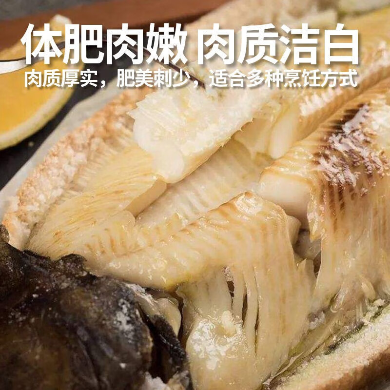 三蟹岛 鸦片鱼 新鲜 比目鱼 鲽鱼  偏口鱼 深海鲽鱼  生鲜鱼类 海鲜水产 7-7.5斤/1条 新鲜鸦片鱼