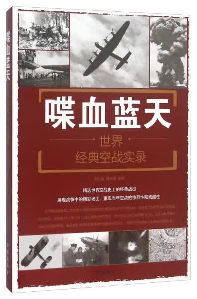 喋血蓝天：世界经典空战实录9787518604708