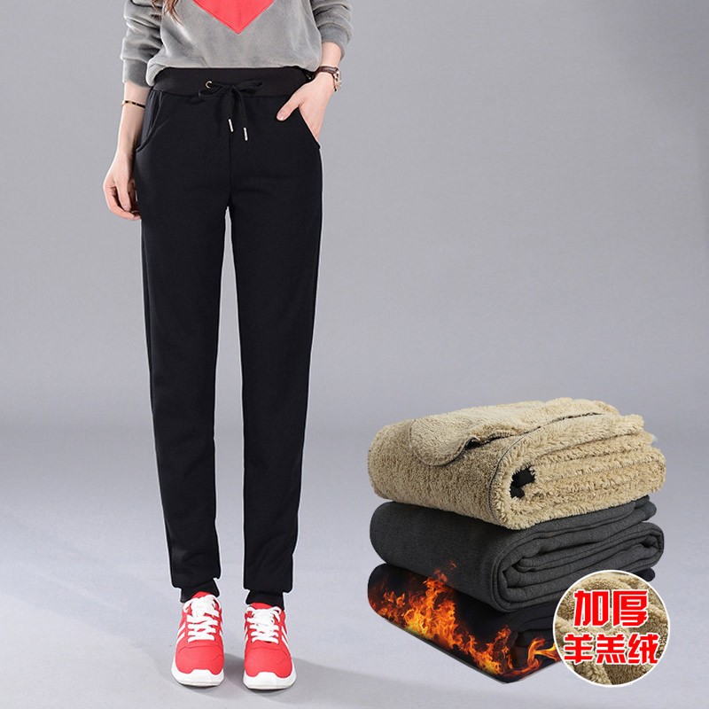 运动裤商品的历史价格查询|运动裤价格比较