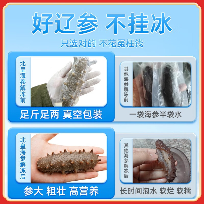 北皇海参大连鲜食海参深海野生辽刺参冷蒸新鲜即食海参 海鲜水产500g1斤装 7A 7-9只/斤 每头8-10cm 一斤装