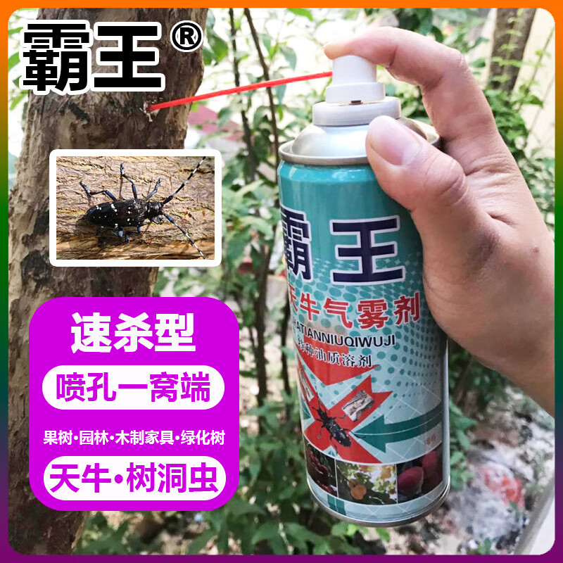 霸王杀天牛克星气雾剂大牙土天牛杀虫剂杀树洞虫农药园林果树绿化 【