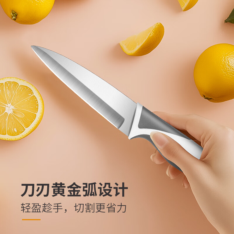 力王家用便携不锈钢水果刀塑料柄瓜果刀削皮刀多用刀带刀套