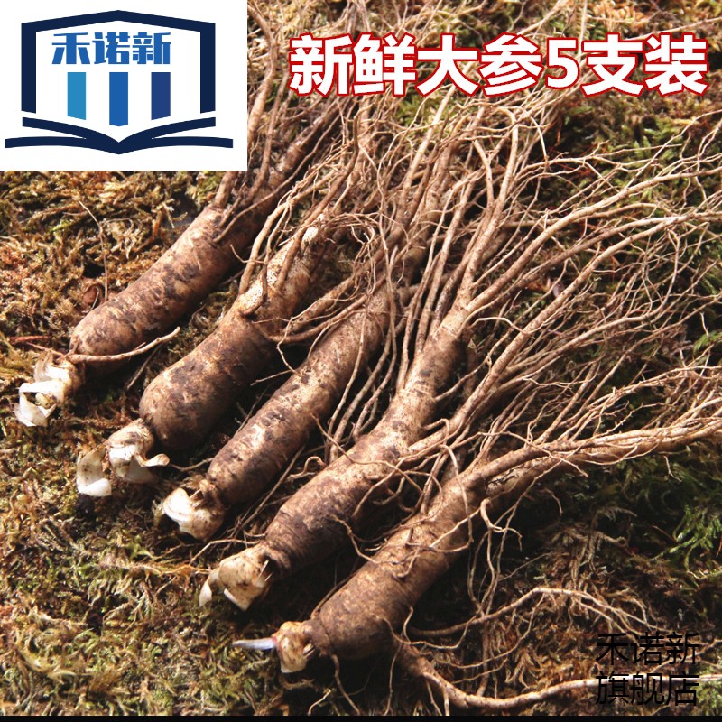 【年货季】新鲜大参5支装 长白山带土鲜人参东北产地煲汤泡酒切片泡茶