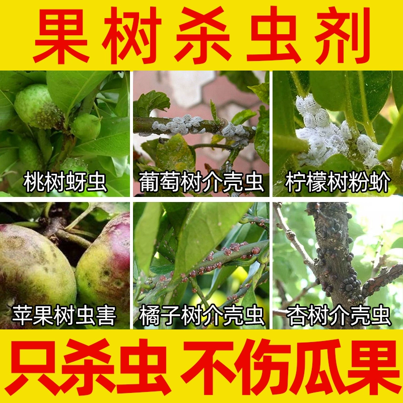 果树杀虫专用剂桃树杀虫专用蛀虫蚧壳虫食心虫钻心虫天牛杀虫剂 五