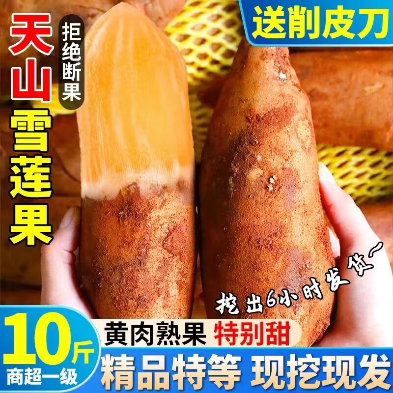 查询更多水果历史价格的软件|更多水果价格比较