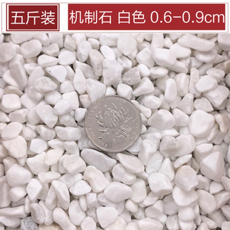 原石天然小石子鱼缸花盆鹅软石庭院装饰园艺五彩石头 机制白石0