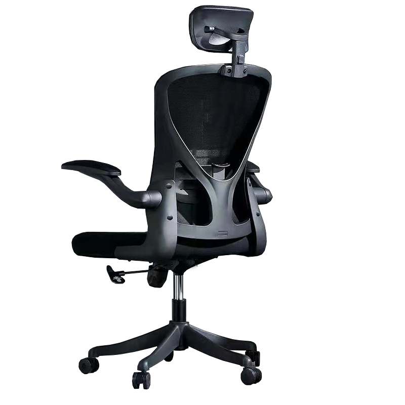 罗氏兄弟 人体工学椅 办公椅 电脑椅 家用学习椅子 职员会议椅889A(乳胶款)